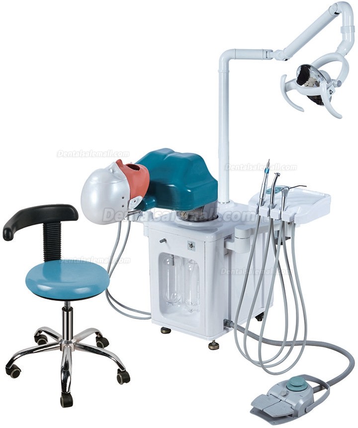 Jingle JG-A2 Dental Simulator Manikins Phantom Head Simulation Unit Typodont Compatible with Nissin Kilgore/Frasaco